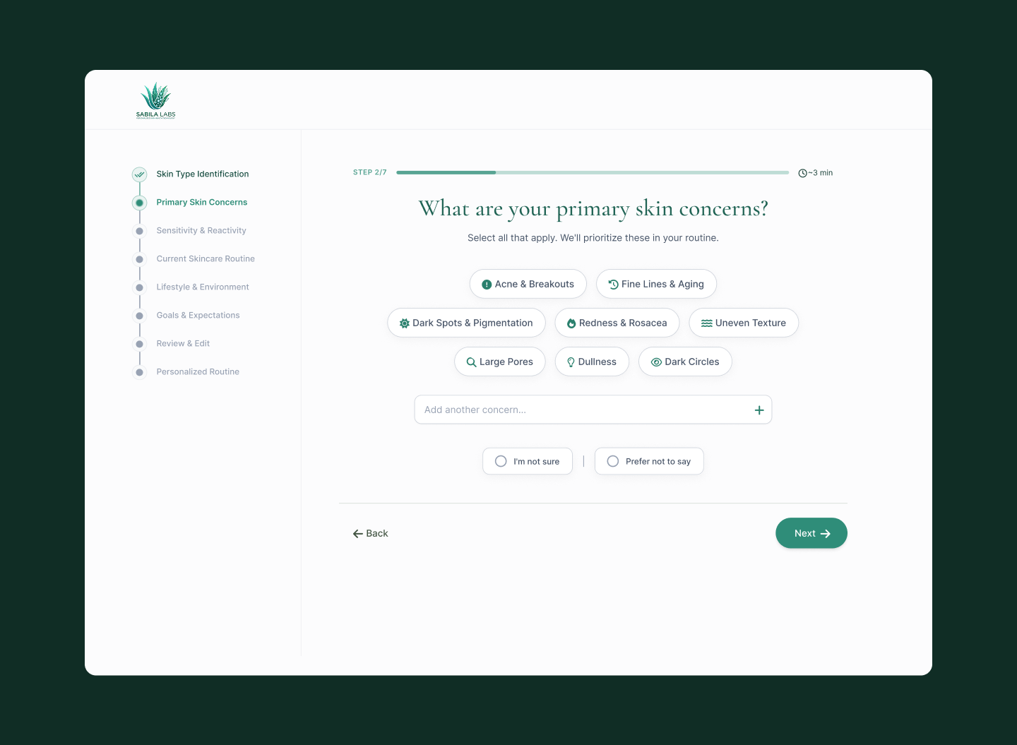 Assessment Step 2 — Primary Skin Concerns